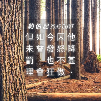Picture 04 - 約 伯 記 35:15 CUVT - 但 如 今 因 他 未 曾 發 怒 降 罰 ， - Bible Verse Picture