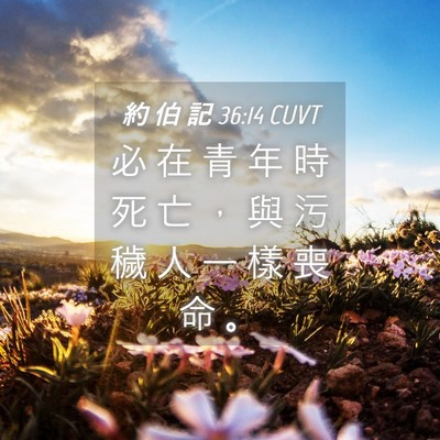 Picture 04 - 約 伯 記 36:14 CUVT - 必 在 青 年 時 死 亡 ， 與 污 穢 人 - Bible Verse Picture