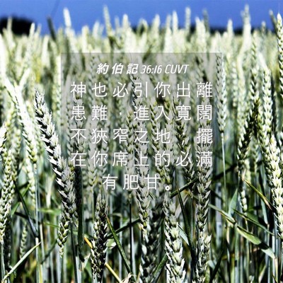 Picture 04 - 約 伯 記 36:16 CUVT - 神 也 必 引 你 出 離 患 難 ， 進 入 - Bible Verse Picture