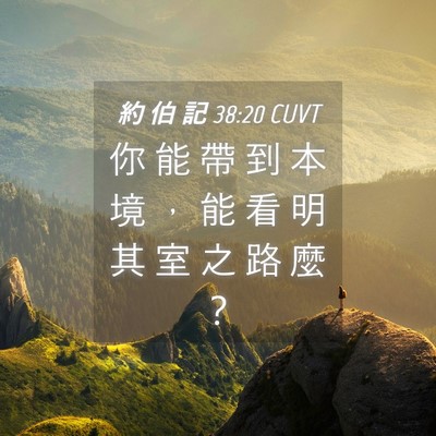 Picture 04 - 約 伯 記 38:20 CUVT - 你 能 帶 到 本 境 ， 能 看 明 其 室 - Bible Verse Picture