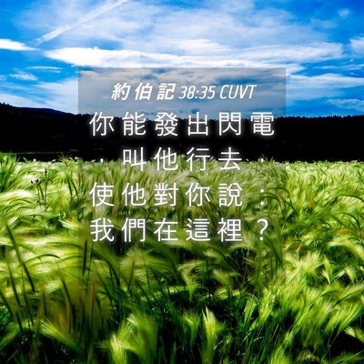Picture 04 - 約 伯 記 38:35 CUVT - 你 能 發 出 閃 電 ， 叫 他 行 去 ， - Bible Verse Picture