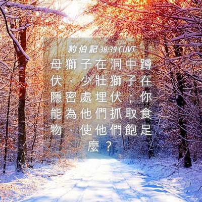 Picture 04 - 約 伯 記 38:39 CUVT - 母 獅 子 在 洞 中 蹲 伏 ， 少 壯 獅 - Bible Verse Picture