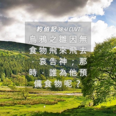 Picture 04 - 約 伯 記 38:41 CUVT - 烏 鴉 之 雛 因 無 食 物 飛 來 飛 去 - Bible Verse Picture