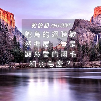 Picture 04 - 約 伯 記 39:13 CUVT - 鴕 鳥 的 翅 膀 歡 然 搧 展 ， 豈 是 - Bible Verse Picture