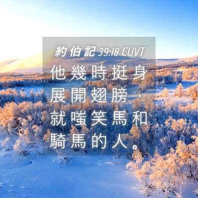 Picture 04 - 約 伯 記 39:18 CUVT - 他 幾 時 挺 身 展 開 翅 膀 ， 就 嗤 - Bible Verse Picture