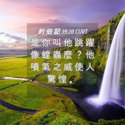 Picture 04 - 約 伯 記 39:20 CUVT - 是 你 叫 他 跳 躍 像 蝗 蟲 麼 ？ 他 - Bible Verse Picture