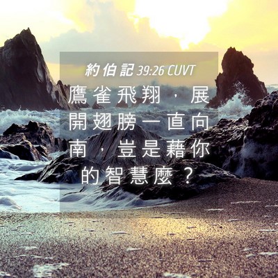 Picture 04 - 約 伯 記 39:26 CUVT - 鷹 雀 飛 翔 ， 展 開 翅 膀 一 直 向 - Bible Verse Picture