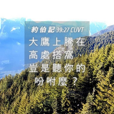 Picture 04 - 約 伯 記 39:27 CUVT - 大 鷹 上 騰 在 高 處 搭 窩 ， 豈 是 - Bible Verse Picture