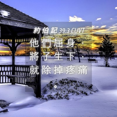 Picture 04 - 約 伯 記 39:3 CUVT - 他 們 屈 身 ， 將 子 生 下 ， 就 除 - Bible Verse Picture