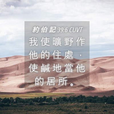 Picture 04 - 約 伯 記 39:6 CUVT - 我 使 曠 野 作 他 的 住 處 ， 使 鹹 - Bible Verse Picture