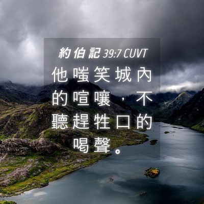 Picture 04 - 約 伯 記 39:7 CUVT - 他 嗤 笑 城 內 的 喧 嚷 ， 不 聽 趕 - Bible Verse Picture