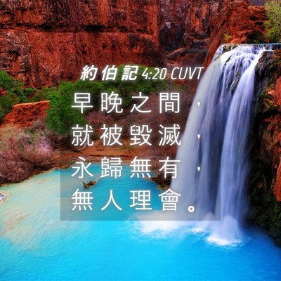 Picture 04 - 約 伯 記 4:20 CUVT - 早 晚 之 間 ， 就 被 毀 滅 ， 永 歸 - Bible Verse Picture
