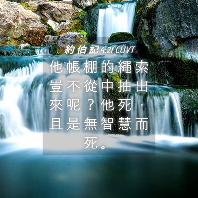 Picture 04 - 約 伯 記 4:21 CUVT - 他 帳 棚 的 繩 索 豈 不 從 中 抽 出 - Bible Verse Picture