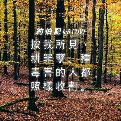 Picture 04 - 約 伯 記 4:8 CUVT - 按 我 所 見 ， 耕 罪 孽 、 種 毒 害 - Bible Verse Picture