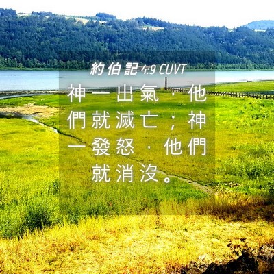 Picture 04 - 約 伯 記 4:9 CUVT - 神 一 出 氣 ， 他 們 就 滅 亡 ； 神 - Bible Verse Picture