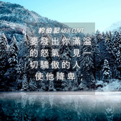 Picture 04 - 約 伯 記 40:11 CUVT - 要 發 出 你 滿 溢 的 怒 氣 ， 見 一 - Bible Verse Picture