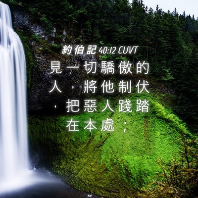 Picture 04 - 約 伯 記 40:12 CUVT - 見 一 切 驕 傲 的 人 ， 將 他 制 伏 - Bible Verse Picture