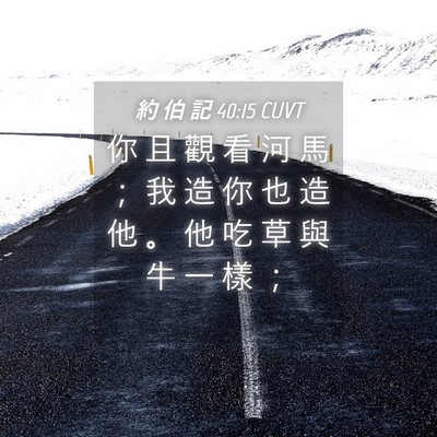 Picture 04 - 約 伯 記 40:15 CUVT - 你 且 觀 看 河 馬 ； 我 造 你 也 造 - Bible Verse Picture