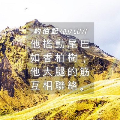 Picture 04 - 約 伯 記 40:17 CUVT - 他 搖 動 尾 巴 如 香 柏 樹 ； 他 大 - Bible Verse Picture