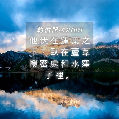 Picture 04 - 約 伯 記 40:21 CUVT - 他 伏 在 蓮 葉 之 下 ， 臥 在 蘆 葦 - Bible Verse Picture