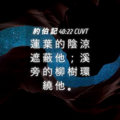 Picture 04 - 約 伯 記 40:22 CUVT - 蓮 葉 的 陰 涼 遮 蔽 他 ； 溪 旁 的 - Bible Verse Picture