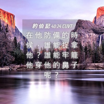 Picture 04 - 約 伯 記 40:24 CUVT - 在 他 防 備 的 時 候 ， 誰 能 捉 拿 - Bible Verse Picture