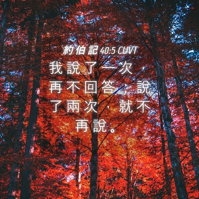 Picture 04 - 約 伯 記 40:5 CUVT - 我 說 了 一 次 ， 再 不 回 答 ； 說 - Bible Verse Picture