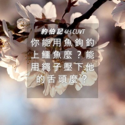 Picture 04 - 約 伯 記 41:1 CUVT - 你 能 用 魚 鉤 釣 上 鱷 魚 麼 ？ 能 - Bible Verse Picture