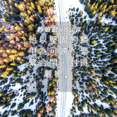 Picture 04 - 約 伯 記 41:15 CUVT - 他 以 堅 固 的 鱗 甲 為 可 誇 ， 緊 - Bible Verse Picture