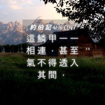 Picture 04 - 約 伯 記 41:16 CUVT - 這 鱗 甲 一 一 相 連 ， 甚 至 氣 不 - Bible Verse Picture