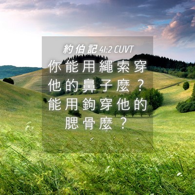 Picture 04 - 約 伯 記 41:2 CUVT - 你 能 用 繩 索 穿 他 的 鼻 子 麼 ？ - Bible Verse Picture
