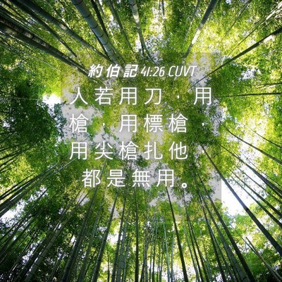Picture 04 - 約 伯 記 41:26 CUVT - 人 若 用 刀 ， 用 槍 ， 用 標 槍 ， - Bible Verse Picture