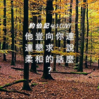 Picture 04 - 約 伯 記 41:3 CUVT - 他 豈 向 你 連 連 懇 求 ， 說 柔 和 - Bible Verse Picture