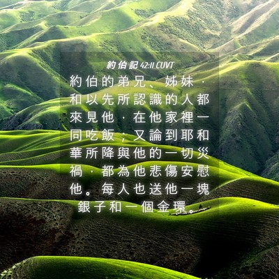 Picture 04 - 約 伯 記 42:11 CUVT - 約 伯 的 弟 兄 、 姊 妹 ， 和 以 先 - Bible Verse Picture
