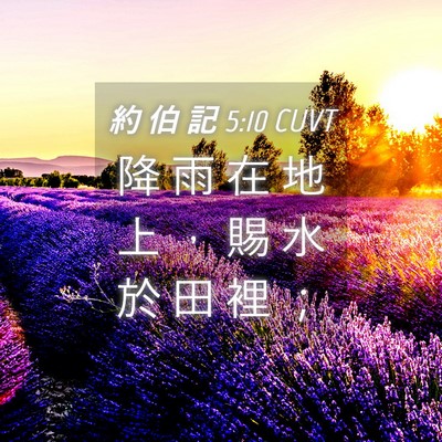 Picture 04 - 約 伯 記 5:10 CUVT - 降 雨 在 地 上 ， 賜 水 於 田 裡 - Bible Verse Picture