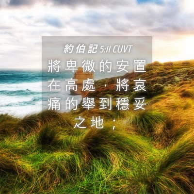 Picture 04 - 約 伯 記 5:11 CUVT - 將 卑 微 的 安 置 在 高 處 ， 將 哀 - Bible Verse Picture