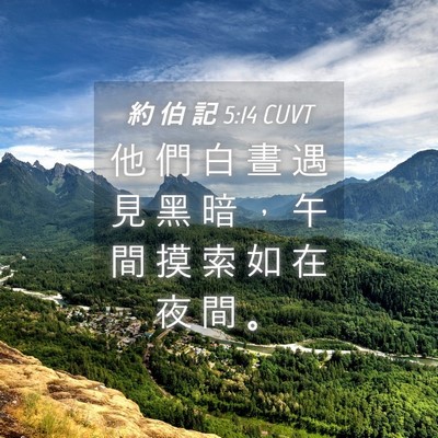 Picture 04 - 約 伯 記 5:14 CUVT - 他 們 白 晝 遇 見 黑 暗 ， 午 間 摸 - Bible Verse Picture