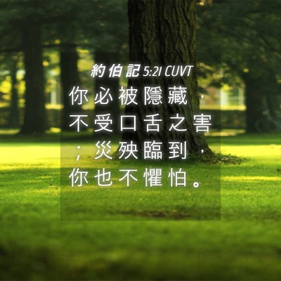 Picture 04 - 約 伯 記 5:21 CUVT - 你 必 被 隱 藏 ， 不 受 口 舌 之 害 - Bible Verse Picture