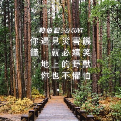 Picture 04 - 約 伯 記 5:22 CUVT - 你 遇 見 災 害 饑 饉 ， 就 必 嬉 笑 - Bible Verse Picture