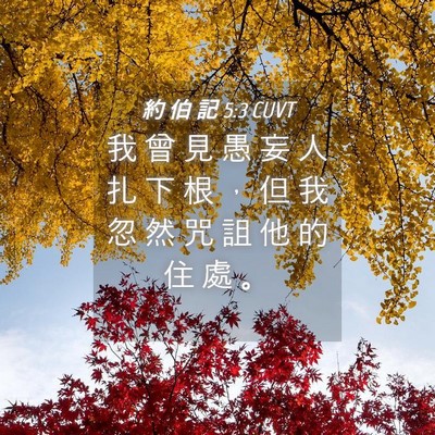 Picture 04 - 約 伯 記 5:3 CUVT - 我 曾 見 愚 妄 人 扎 下 根 ， 但 我 - Bible Verse Picture