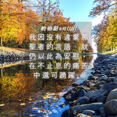 Picture 04 - 約 伯 記 6:10 CUVT - 我 因 沒 有 違 棄 那 聖 者 的 言 語 - Bible Verse Picture