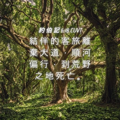 Picture 04 - 約 伯 記 6:18 CUVT - 結 伴 的 客 旅 離 棄 大 道 ， 順 河 - Bible Verse Picture