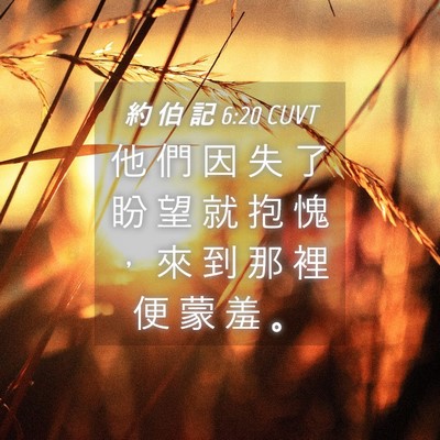 Picture 04 - 約 伯 記 6:20 CUVT - 他 們 因 失 了 盼 望 就 抱 愧 ， 來 - Bible Verse Picture