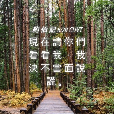 Picture 04 - 約 伯 記 6:28 CUVT - 現 在 請 你 們 看 看 我 ， 我 決 不 - Bible Verse Picture