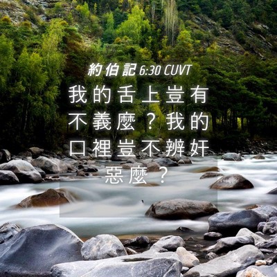Picture 04 - 約 伯 記 6:30 CUVT - 我 的 舌 上 豈 有 不 義 麼 ？ 我 的 - Bible Verse Picture