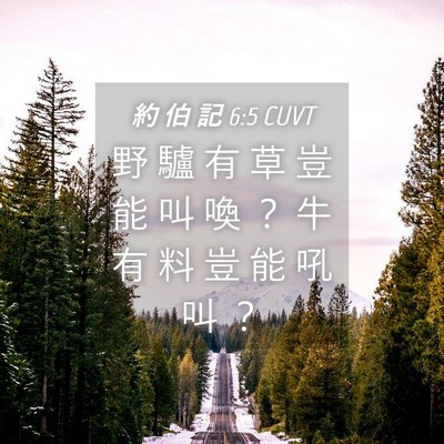 Picture 04 - 約 伯 記 6:5 CUVT - 野 驢 有 草 豈 能 叫 喚 ？ 牛 有 料 - Bible Verse Picture