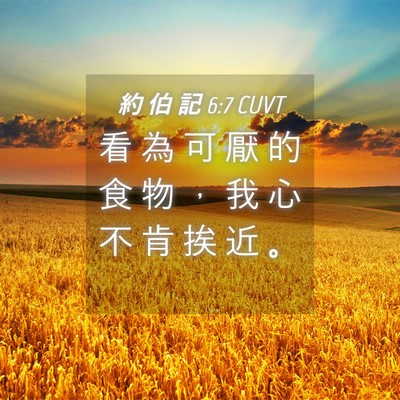 Picture 04 - 約 伯 記 6:7 CUVT - 看 為 可 厭 的 食 物 ， 我 心 不 肯 - Bible Verse Picture