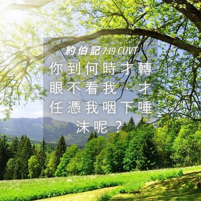 Picture 04 - 約 伯 記 7:19 CUVT - 你 到 何 時 才 轉 眼 不 看 我 ， 才 - Bible Verse Picture