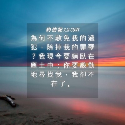 Picture 04 - 約 伯 記 7:21 CUVT - 為 何 不 赦 免 我 的 過 犯 ， 除 掉 - Bible Verse Picture