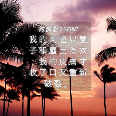 Picture 04 - 約 伯 記 7:5 CUVT - 我 的 肉 體 以 蟲 子 和 塵 土 為 衣 - Bible Verse Picture